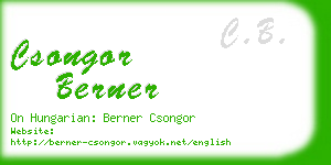 csongor berner business card